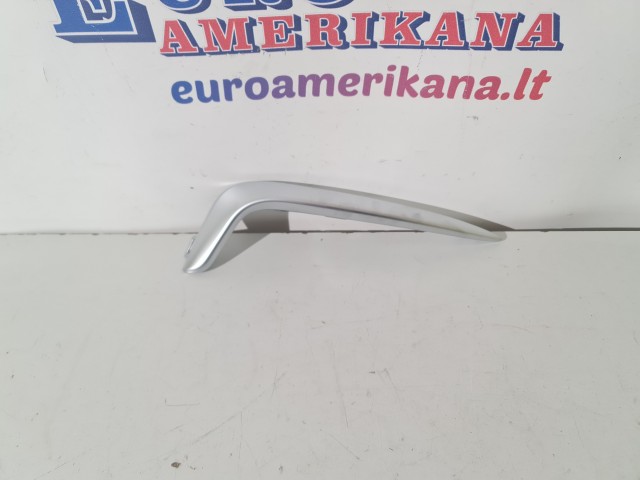 Fog Lamp Applique, Right